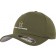 color:olive